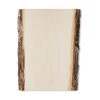 Buy ✔️ Basswood Rectangle Plaque by ArtMinds® ✨