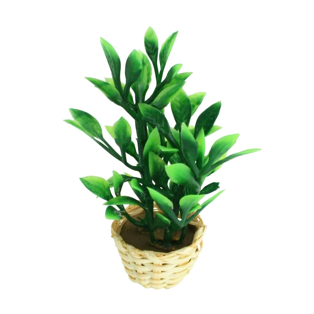 Cheapest ⌛ Mini Potted Plant by ArtMinds™ ✨