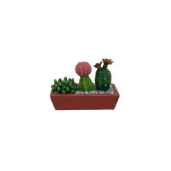 Best Sale ⭐ Mini Cacti in Window Box By ArtMinds™ 🔥