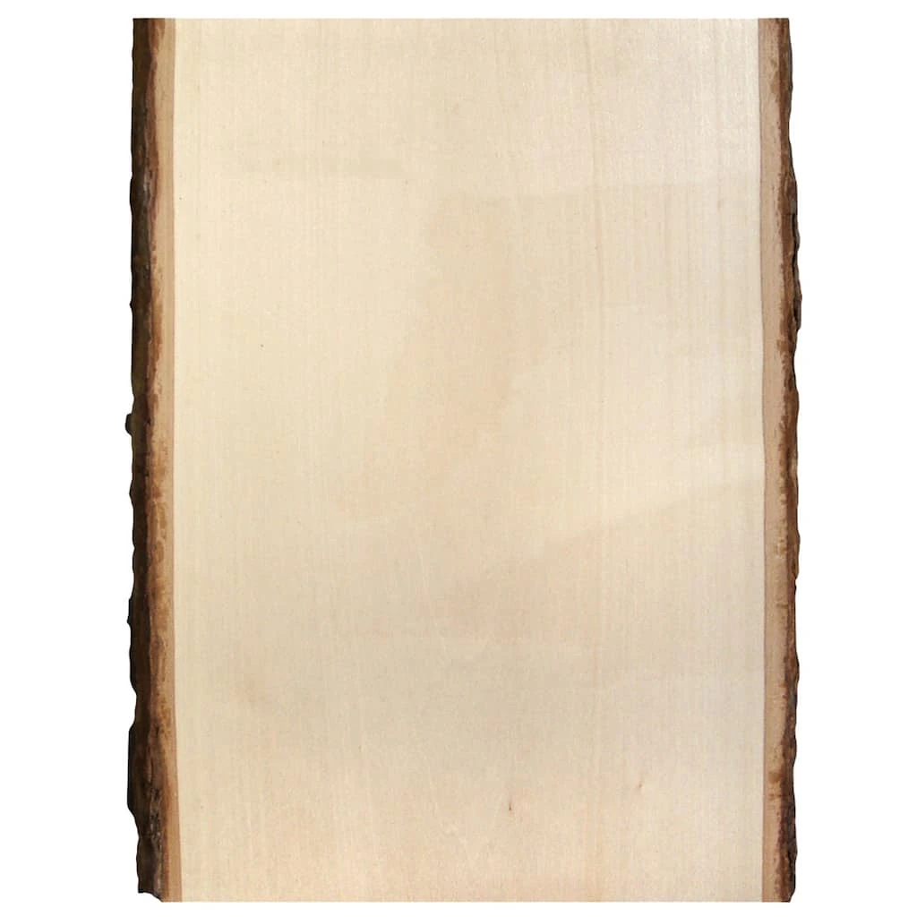 Deals 🔔 8 Pack: 13" Basswood Rectangle Plaque by ArtMinds® ✔️
